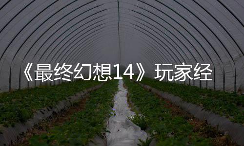 包因獭獭先玩家g误大喜大悲最终幻想1经历即将官方发 生背收回