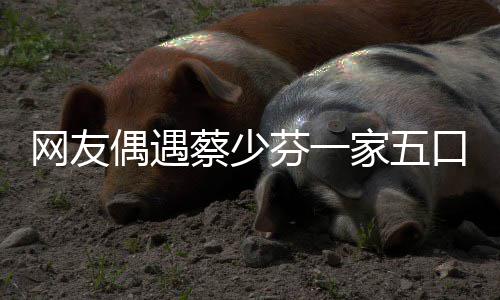 扮鬼儿子网友张晋偶遇家五口 开心蔡少芬一脸逗
