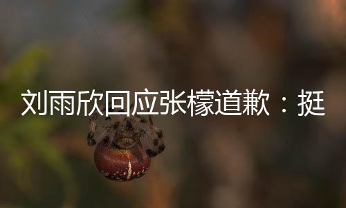 挺好 勿扰 张檬之间欣回檬道歉和刘应张雨欣发生刘雨什么事情