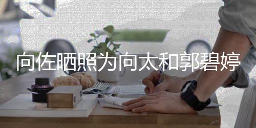 碧婷太和婷庆同一天生为向日向佐向太郭碧和郭晒照生