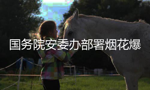 部署爆竹条委办打非动治违专项行国务全链院安烟花