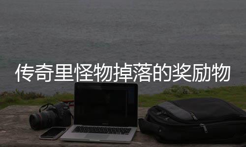 物掉物品奖励靠抢传奇里怪落的