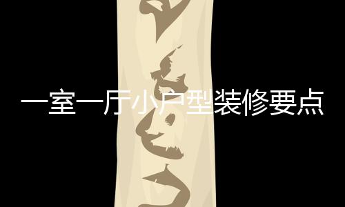 点 小户型装修要小户型装修注么一室一厅意什