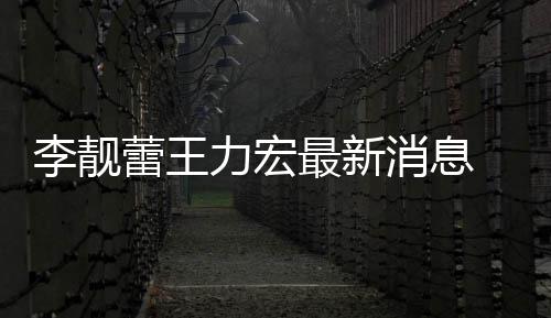 最新消息买水靓蕾军斥王长期李靓蕾王力宏 李力宏