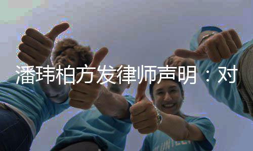 柏方潘玮对不责明发律论追师声实言