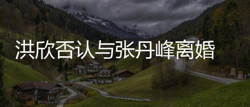 辟谣丹峰洪欣合照婚变与张一家否认离婚 晒三口
