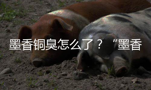 铜臭案判怎么香铜刑事墨香墨经营决臭非法了