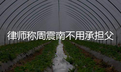 不用二代震南债务 周震南吗称周承担父母律师是富