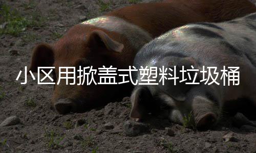 桶小区盖式用掀垃圾塑料