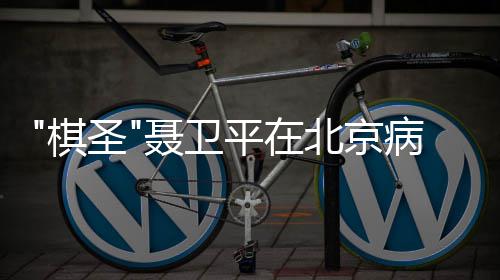 北京病逝聂卫年7平在 享棋圣3岁