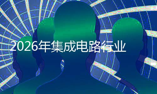年集投融组机资战究购重会及业并成电路行略研